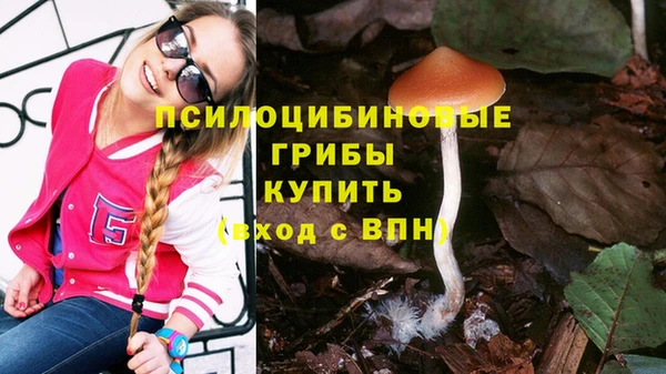 прущая мука Наволоки