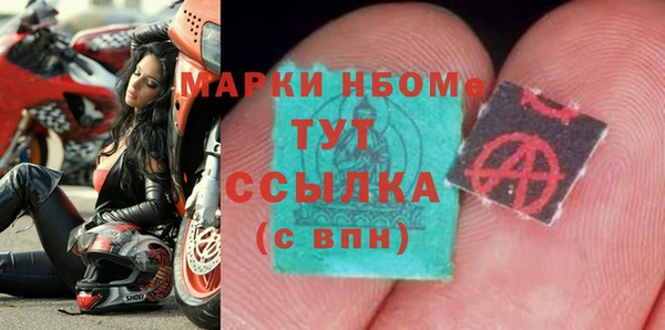 бошки Бронницы
