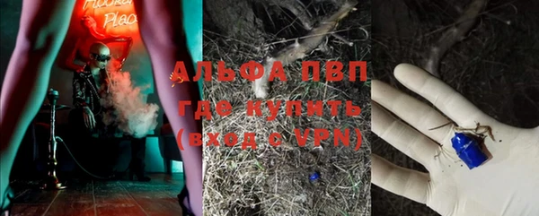 амф Михайловск