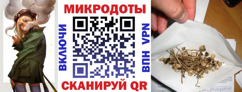 где купить наркотик  Любань  Псилоцибиновые грибы Psilocybe 