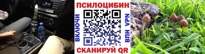 Псилоцибиновые грибы MAGIC MUSHROOMS Любань
